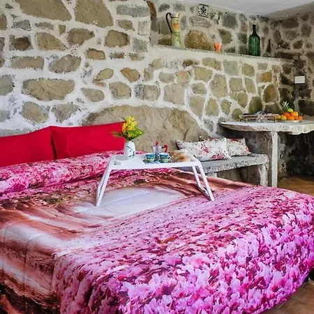 In Holiday home *
